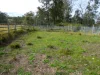 70 Bairds Road, Bonalbo, NSW 2469-Image