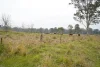 70 Bairds Road, Bonalbo, NSW 2469-Image