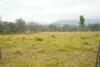 70 Bairds Road, Bonalbo, NSW 2469-Image