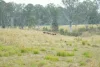 70 Bairds Road, Bonalbo, NSW 2469-Image