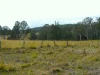 70 Bairds Road, Bonalbo, NSW 2469-Image