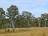 70 Bairds Road, Bonalbo, NSW 2469-Image