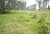 70 Bairds Road, Bonalbo, NSW 2469-Image