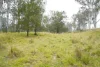 70 Bairds Road, Bonalbo, NSW 2469-Image