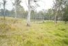 70 Bairds Road, Bonalbo, NSW 2469-Image