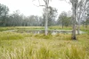 70 Bairds Road, Bonalbo, NSW 2469-Image