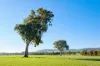 70 Stonehaven Road, Holbrook, NSW 2644-Image