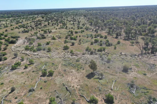 7040 Woolerina Road, Bollon, Qld 4488
