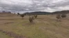 719 Namoi River Road, Namoi River, NSW 2346-Image