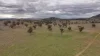 719 Namoi River Road, Namoi River, NSW 2346-Image