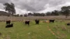 719 Namoi River Road, Namoi River, NSW 2346-Image