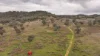 719 Namoi River Road, Namoi River, NSW 2346-Image