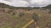 719 Namoi River Road, Namoi River, NSW 2346-Image