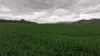 719 Namoi River Road, Namoi River, NSW 2346-Image