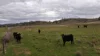 719 Namoi River Road, Namoi River, NSW 2346-Image