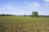 719 Selectors Road, Mangalore, Vic 3663-Image