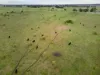 74 Bristows Lane, Pearsondale, Vic 3851-Image