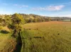 741 Darbalara Road, Coolac, NSW 2727-Image