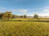 741 Darbalara Road, Coolac, NSW 2727-Image