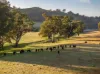 741 Darbalara Road, Coolac, NSW 2727-Image