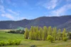 751 Sodwalls Road, Sodwalls, NSW 2790