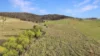 751 Sodwalls Road, Sodwalls, NSW 2790-Image