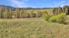 751 Sodwalls Road, Sodwalls, NSW 2790-Image