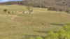 751 Sodwalls Road, Sodwalls, NSW 2790-Image
