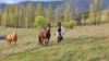 751 Sodwalls Road, Sodwalls, NSW 2790-Image
