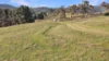 751 Sodwalls Road, Sodwalls, NSW 2790-Image