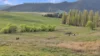 751 Sodwalls Road, Sodwalls, NSW 2790-Image