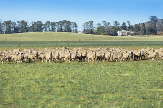 7651 Monaro Highway, Cooma, NSW 2630