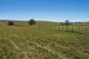 7651 Monaro Highway, Cooma, NSW 2630-Image