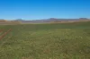 7651 Monaro Highway, Cooma, NSW 2630-Image