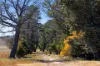7651 Monaro Highway, Cooma, NSW 2630-Image