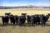 7651 Monaro Highway, Cooma, NSW 2630-Image