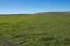 7651 Monaro Highway, Cooma, NSW 2630-Image