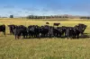 7651 Monaro Highway, Cooma, NSW 2630-Image
