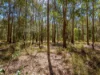 769 Lagoon Road, West Coraki, NSW 2471-Image