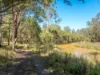769 Lagoon Road, West Coraki, NSW 2471-Image