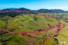 780 Wandella Road, Wandella, NSW 2550-Image