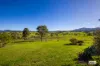 780 Wandella Road, Wandella, NSW 2550-Image