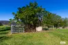 780 Wandella Road, Wandella, NSW 2550-Image