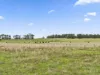 80 Morrells Road, Ondit, Vic 3249-Image