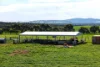 81, O'Neill Road, Mount Barker, WA 6324-Image