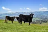 817 Upper Lurg Road, Upper Lurg, Vic 3673-Image