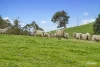 817 Upper Lurg Road, Upper Lurg, Vic 3673-Image