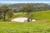 817 Upper Lurg Road, Upper Lurg, Vic 3673-Image