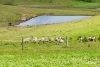 817 Upper Lurg Road, Upper Lurg, Vic 3673-Image