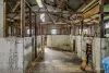 817 Upper Lurg Road, Upper Lurg, Vic 3673-Image